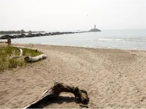 Imgi 5 635742886469107663 Final 300x225 1