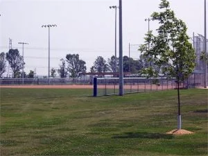 Imgi 6 635739440689493495 Final 300x225 1